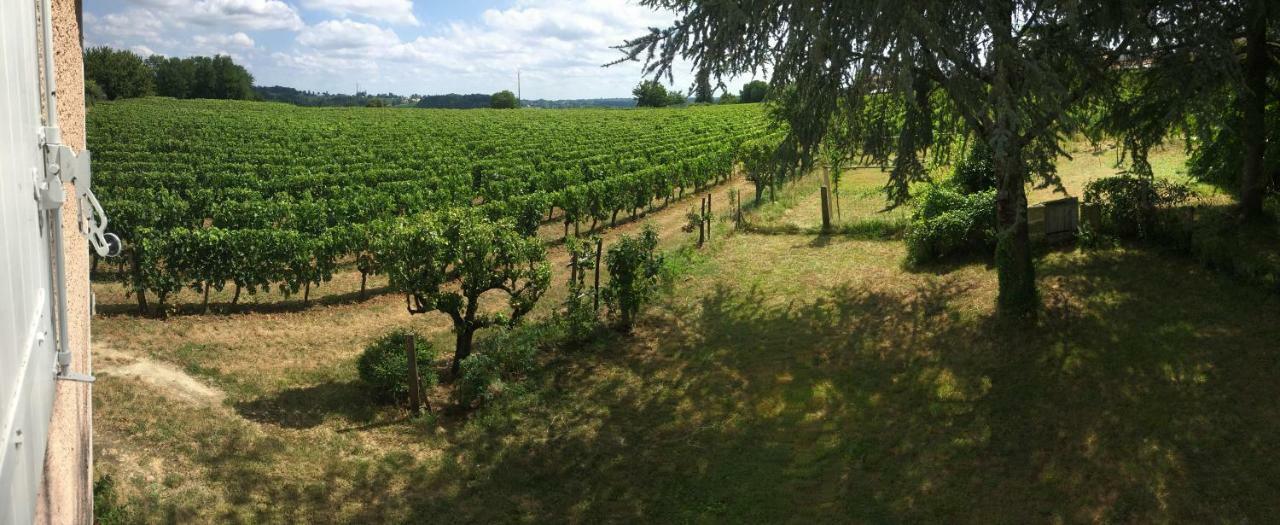 몽타뉴 Mirande Montagne-Saint Emilion 아파트 외부 사진